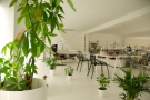 Paul Kaloustian Architect -2