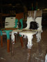 PeliDesign-PlasticNature -2