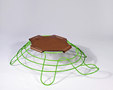 Cory Grosser Design + Strategy-Turtle Turtle for World Wildlife Fund (Short Run) -2