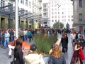 CMG landscape architecture -10