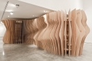 Campos Leckie Studio -6