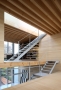 Architect Gon Zifroni -8