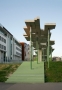 studio elementare -9