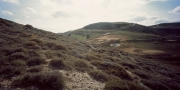 decaARCHITECTURE -11
