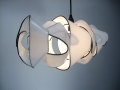 Wielamp-Meiner Auge weisser Haut -2