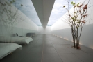 Shinichi Ogawa & Associates -11