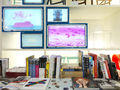 BLAST Architetti-SKITSCH_Milano_via Fratelli Gabba -4