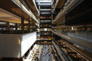 HASSELL -8
