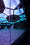 one fine day: office for architectural design-Treehugger -2