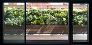 Paul McAneary Architects-Tex Tonic House 1 -4