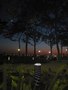Tillett Lighting Design -10