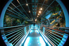 Archiluce Lighting Design-Genoa Aquarium -1