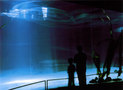 Archiluce Lighting Design-Genoa Aquarium -4