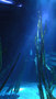Archiluce Lighting Design-Genoa Aquarium -2