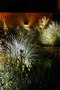 DALD - David Atkinson Lighting Design -10