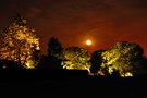 DALD - David Atkinson Lighting Design -7