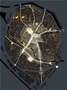 Susanna Antico lighting designer-Mechelen Lighting Masterplan -1