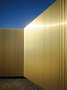-Golden Splendour -3