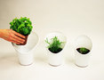 Caroline Brahme Design-Grow -1