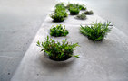 Caroline Brahme Design -8