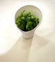 Caroline Brahme Design-Grow -2