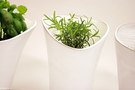 Caroline Brahme Design-Grow -3