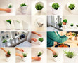 Caroline Brahme Design-Grow -4