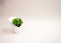 Caroline Brahme Design-Grow -5