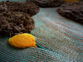 Laure Kasiers Design -9