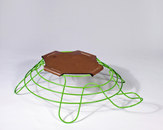 Cory Grosser Design + Strategy-Turtle Turtle for World Wildlife Fund (Short Run) -2