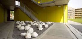 Loos Architects-De Salamander -2