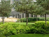 SLA-Charlotte Garden -2