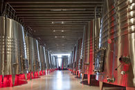 Foster + Partners-Foster + Partner's first winery -2
