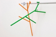 Nicola Enrico Stäubli-Phasmatodea -3