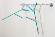 Nicola Enrico Stäubli-Phasmatodea -5