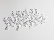Pudelskern-Milky Star -2