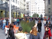 CMG landscape architecture-Mint Plaza -4