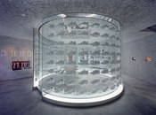 TORAFU ARCHITECTS Inc.-NIKE 1LOVE -1
