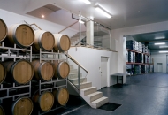 Architects Collective ZT GmbH-Erich Sattler Winery -3