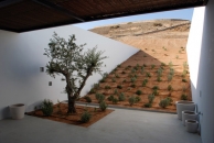 decaARCHITECTURE-Aloni -2
