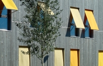 Lutz architectes sàrl-Green Offices -5