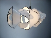Wielamp-Meiner Auge weisser Haut -2