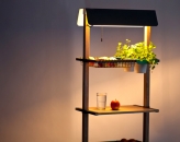 Reinhard Dienes-Sunday // Kitchen Grocery // Wood and bended steel  180 x 55 x 35 cm -5