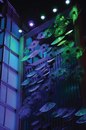 Leni Schwendinger Light Projects Ltd.-Tidal Radiance -3