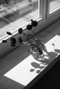 Nikolas Kerl Product Design GMbH-Frascati Haus -3