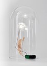 Studio DRIFT-Dandelight -2