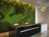 Colacion Studio The Tamdeen Group Headquarters