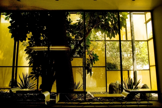 Rojkind arquitectos-Falcon Headquarters, Mexico City