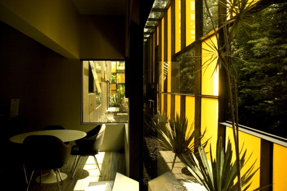 Rojkind arquitectos-Falcon Headquarters, Mexico City