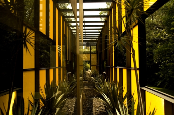 Rojkind arquitectos-Falcon Headquarters, Mexico City